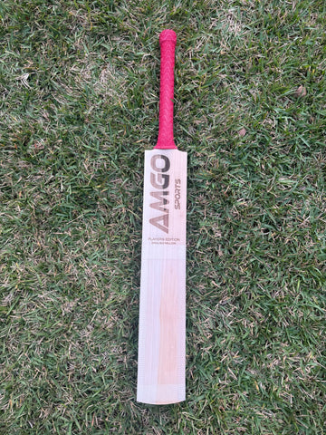 AMGO “PLAYERS EDITION” Players Grade ENGLISH WILLOW BAT – 1187 gms - Adult Short Handle