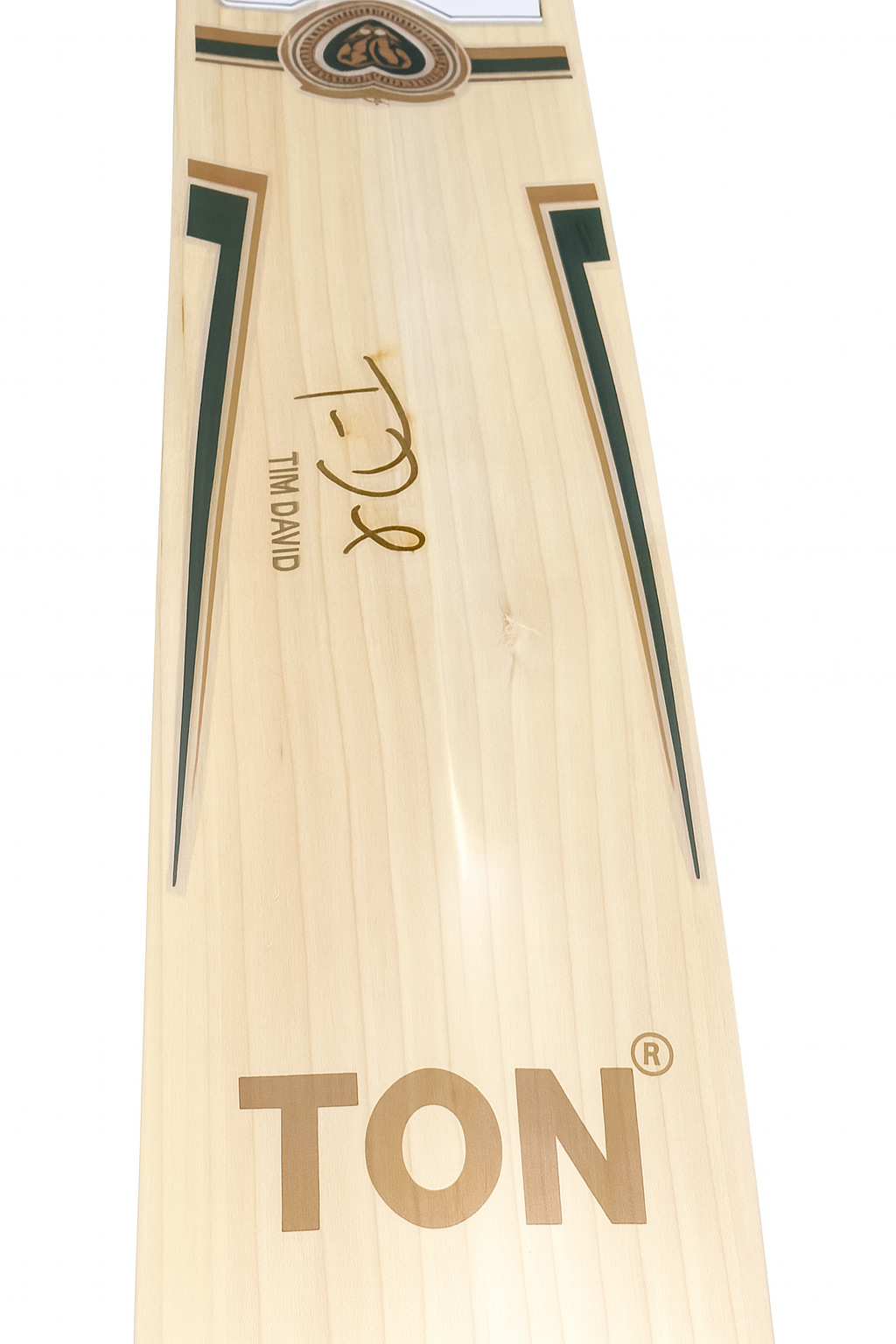 SS - Tim David Players Edition Cricket Bat- Long Handle