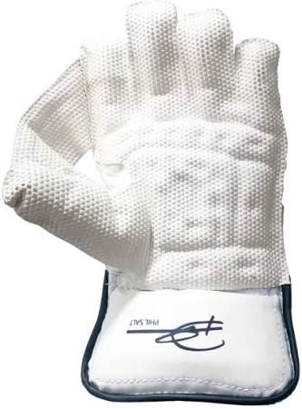 SS COLT CRICKET WICKET KEEPING GLOVES JUNIOR